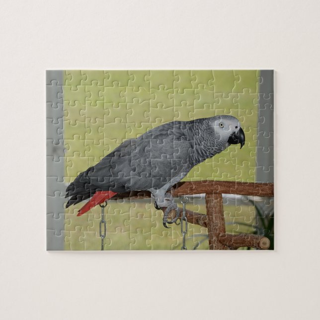 Keen Congo African Gray Parrot Puzzle (Horizontal)