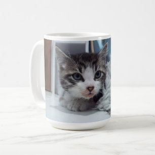 Keeno Floof Stare Tasse