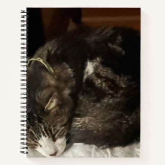 Keeno Perfect Circle Spiral Notebook Notizbuch