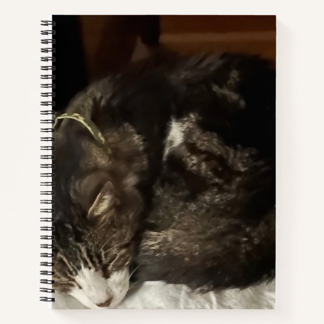 Keeno Perfect Circle Spiral Notebook Notizbuch (Vorderseite)