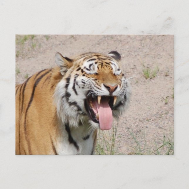 Keep Smiling Postcard Postkarte (Vorderseite)