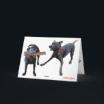 Keep Stickin' Around Dankeskarte<br><div class="desc">A cute dog is thinking of you while you're feeling blue. Tell someone you care about that you want them to stick around!</div>