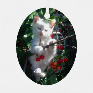 Keepake Family Cat Foto Ornament Aus Metall