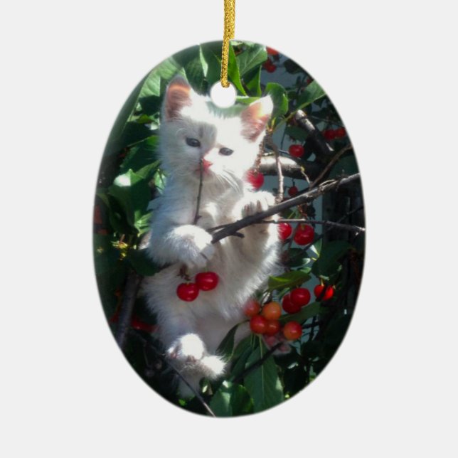 Keepsake Family Cat 2 Sided Photo Keramik Ornament (Vorne)
