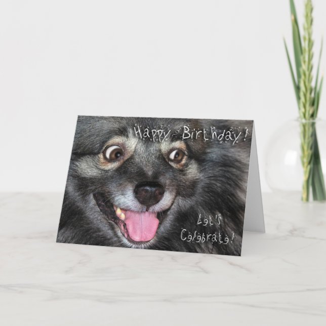 Keeshond-alles Gute zum Geburtstaggrußkarte Karte (Vorderseite)