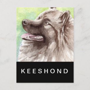 Keeshond-Aquarell-Porträt Postkarte