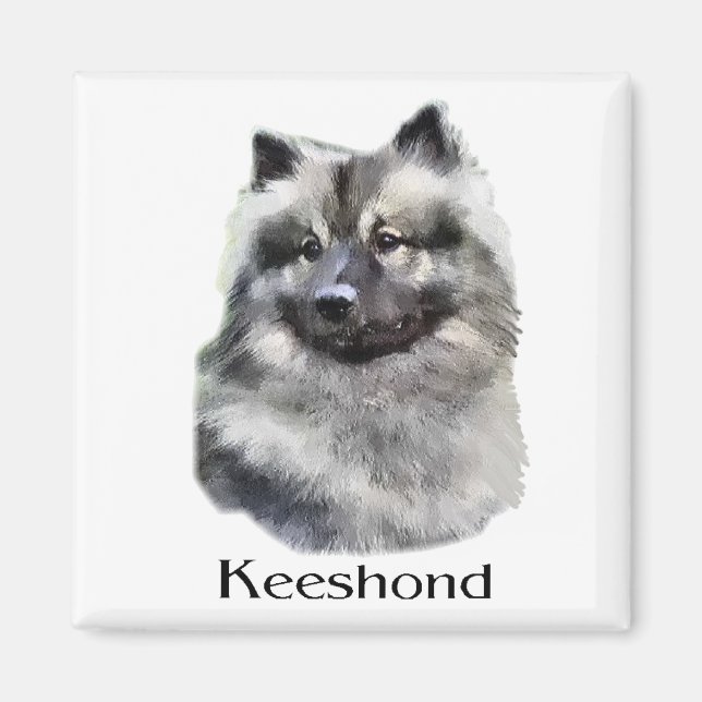 Keeshond Art Geschenke Magnet (Vorne)