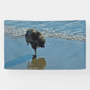 Keeshond Ballettfotos - Niedliche Original Dog Art Banner