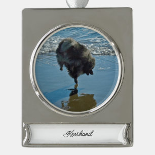 Keeshond Ballettfotos - Niedliche Original Dog Art Banner-Ornament Silber