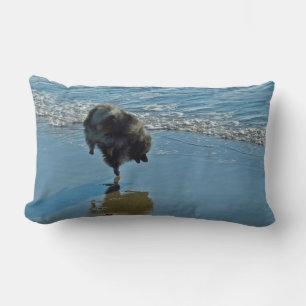 Keeshond Ballettfotos - Niedliche Original Dog Art Lendenkissen