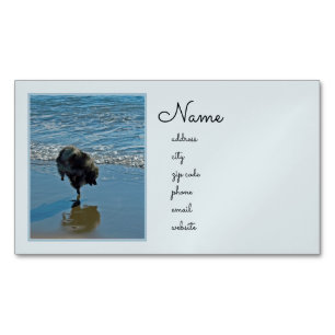 Keeshond Ballettfotos - Niedliche Original Dog Art Magnetische Visitenkarte