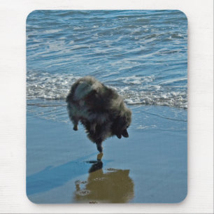 Keeshond Ballettfotos - Niedliche Original Dog Art Mousepad