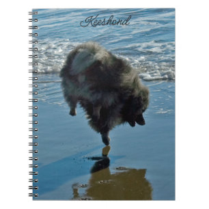 Keeshond Ballettfotos - Niedliche Original Dog Art Notizblock