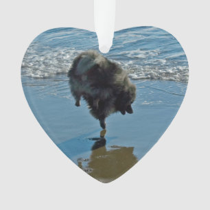 Keeshond Ballettfotos - Niedliche Original Dog Art Ornament