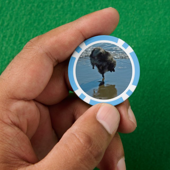 Keeshond Ballettfotos - Niedliche Original Dog Art Pokerchips (Hand)