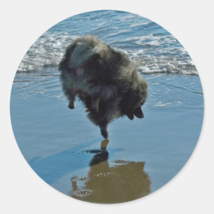 Keeshond Ballettfotos - Niedliche Original Dog Art Runder Aufkleber