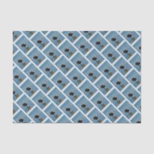 Keeshond Ballettfotos - Niedliche Original Dog Art Seidenpapier