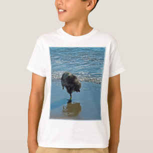 Keeshond Ballettfotos - Niedliche Original Dog Art T-Shirt