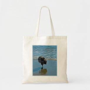 Keeshond Ballettfotos - Niedliche Original Dog Art Tragetasche