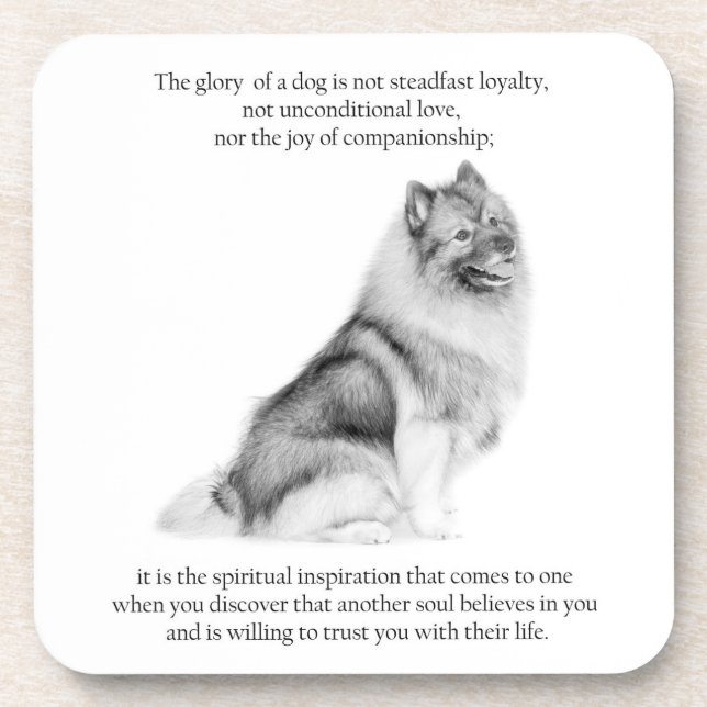 Keeshond Coasters Untersetzer (Vorderseite)