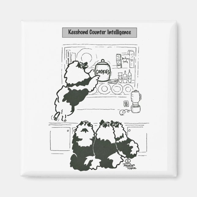 Keeshond Counter Intelligence Magnet (Vorne)