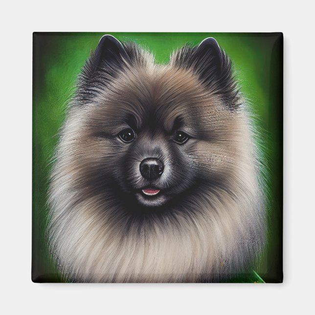 Keeshond Dog in St. Patrick's Day Dress Magnet (Vorne)