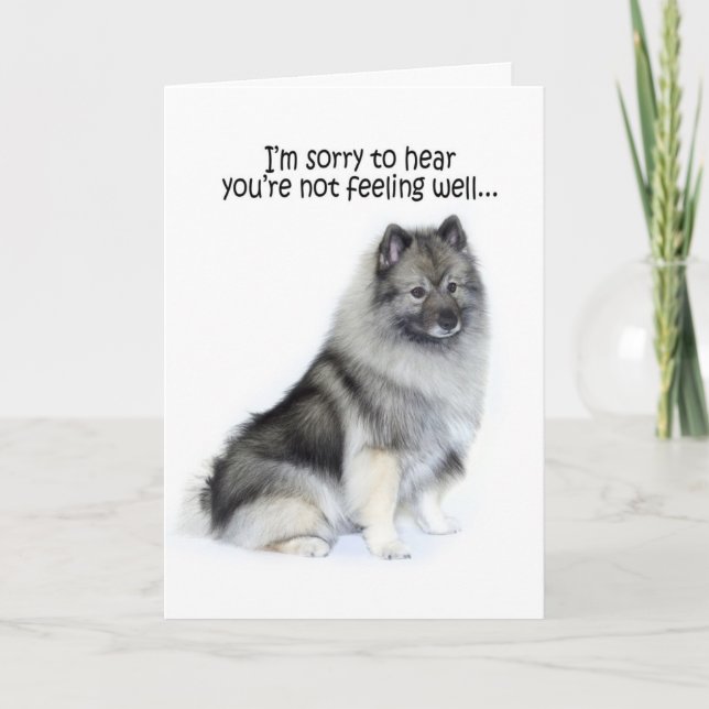Keeshond erhalten wohle Karte (Vorderseite)