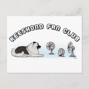 Keeshond Fan Club Postkarte
