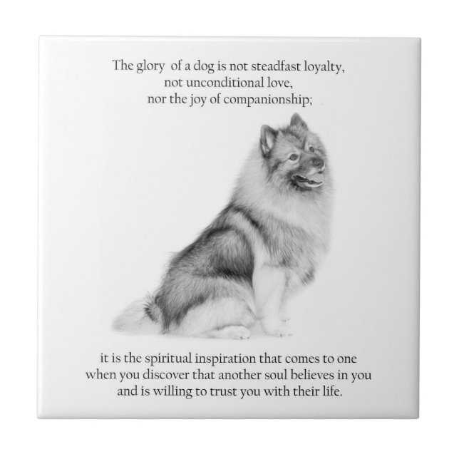 Keeshond Fliese (Vorderseite)