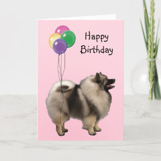 Keeshond, Geburtstags-Ballone Karte