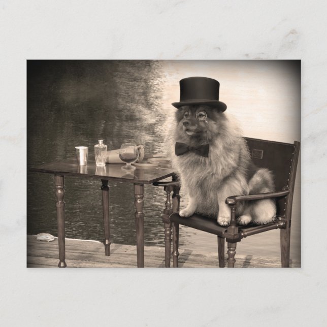 Keeshond Gentleman's Afternoon Postkarte (Vorderseite)
