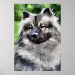 Keeshond gibt Kunstdrucke Poster