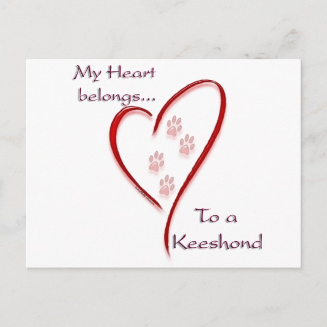 Keeshond Heart zählt Postkarte (Vorderseite)