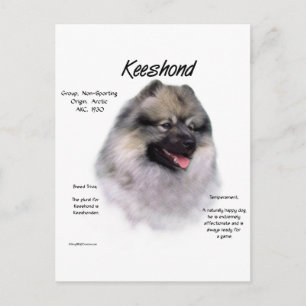 Keeshond History Design Postkarte