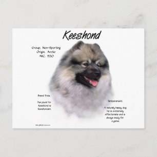 Keeshond History Design Postkarte