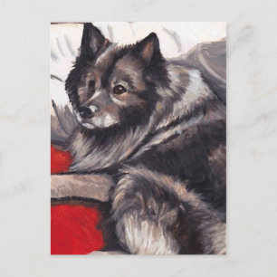 Keeshond Hund Art Postcard Postkarte
