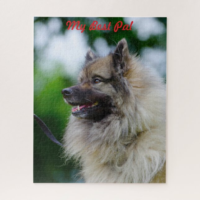 Keeshond Hund. Puzzle (Vertikal)