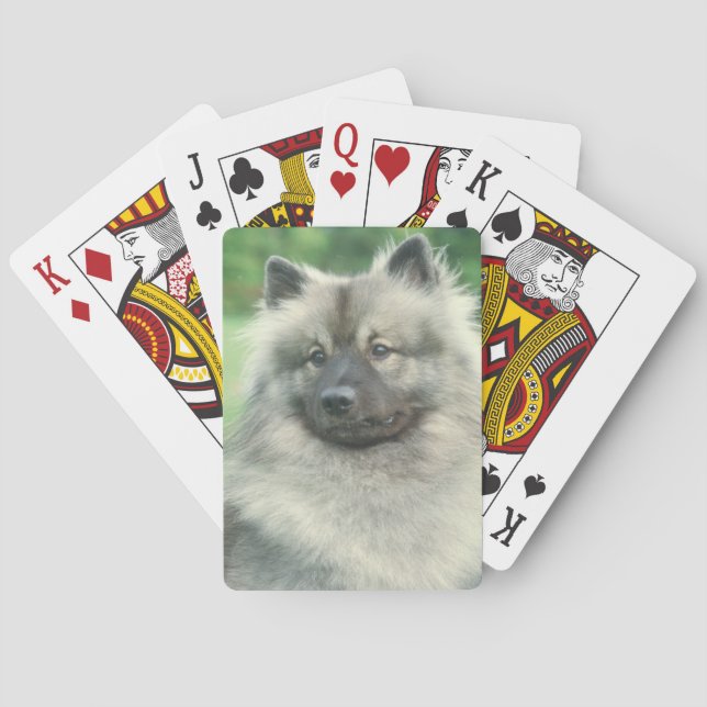Keeshond Hund Spielkarten (Rückseite)