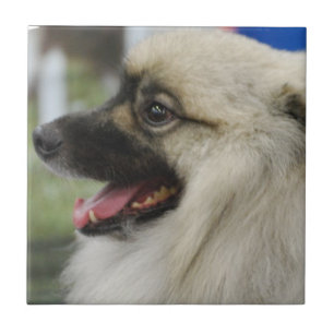Keeshond-Hundefliese Fliese
