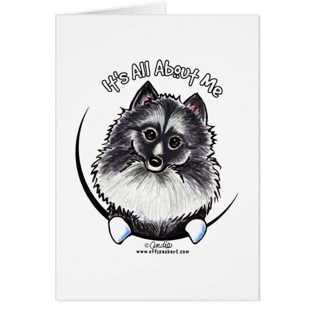 Keeshond IAAM (Vorne)