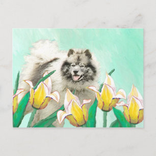 Keeshond in Tulips Malerei Niedliche Original Hund Postkarte