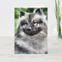 Keeshond-Kunst-Geschenke