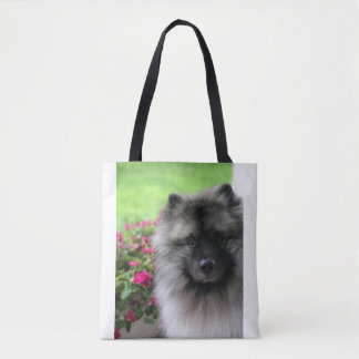 Keeshond--Liebe!