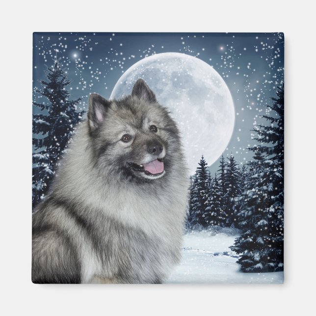 Keeshond Magnet (Vorne)