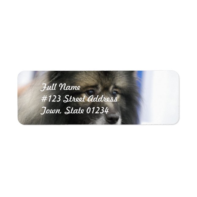 Keeshond Mailing Labels (Vorne)