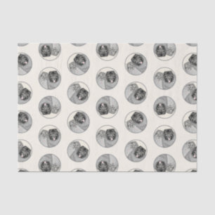 Keeshond Malen 2 Keeshonden Original Hunde Kunst Seidenpapier