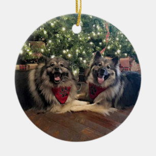 Keeshond mit Weihnachtsbaum Keramikornament