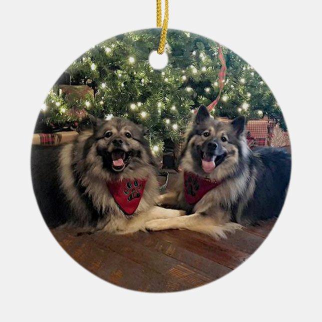 Keeshond mit Weihnachtsbaum Keramikornament (Vorne)