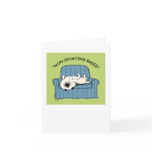 Keeshond "Non-Sporting Breed"