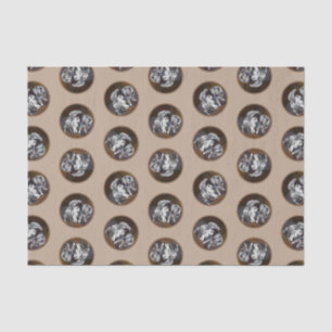 Keeshond Painting Play-Time Niedlich Original Hund Seidenpapier